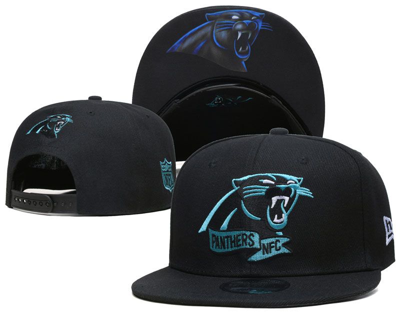 2022 NFL Carolina Panthers Hat TX 1024